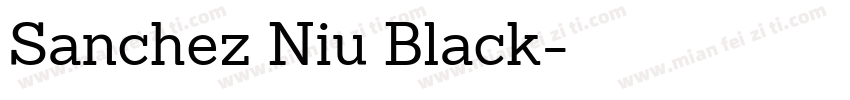 Sanchez Niu Black字体转换